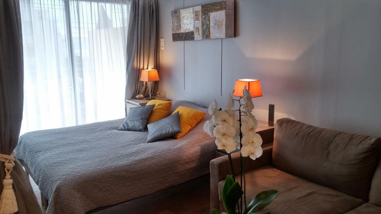 Sophies Homes Felibriges Beach & Palais Des Festivals Канны Экстерьер фото